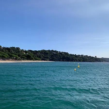 Apartamento Sea View Croix-valmer,10 Min Saint-tropez *